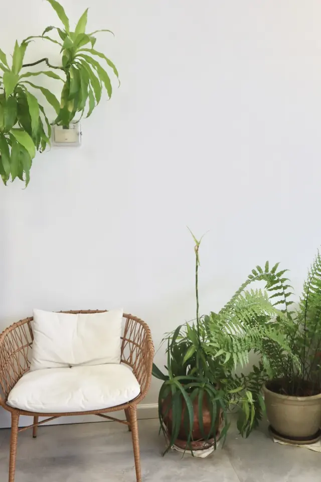 Waiting area at ABB Waxing, Miami